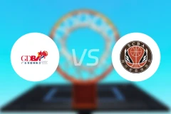 广东女篮vs四川女篮录像回放【2025/11/15】