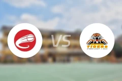 吉姆勒vs辛卓老虎比分预测【2025/12/15】