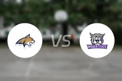 蒙大拿州立大学vs韦伯州立大学比分预测【2026/02/20】