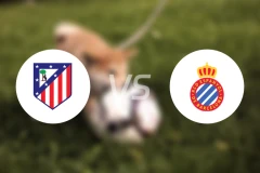 马德里竞技女足vs西班牙人女足比分预测【2026/01/17】