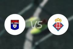 苏比扎vs奥艾比分预测【2026/02/16】