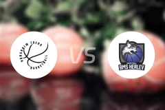 霍什奥尔姆女篮vs海莱乌女篮比分预测【2025/11/22】