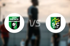 迪塔切vs维兹比分预测【2026/04/11】