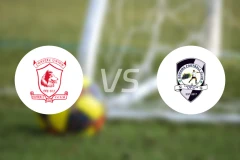 海岸联vs多多玛吉吉FC比分预测【2024/10/18】