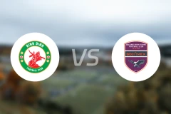 SQC平定vs平阳比分预测【2024/10/20】