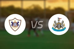 卡拉巴克vs纽卡斯尔联比分预测【2026/02/19】