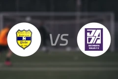 胆山俱乐部vs韦茅斯威尔士比分预测【2026/03/09】