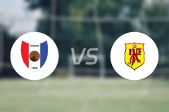 容霍兰德vsSV乌德巴比分预测【2025/11/03】