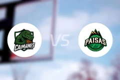 平原凯门鳄vs派萨人比分预测【2026/02/04】