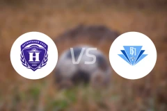 尼瓦杜比兹诺vs坎普罗姆戈梅尔比分预测【2025/11/23】