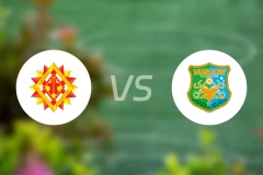 北九州向日葵vs八户于南乡比分预测【2024/10/12】