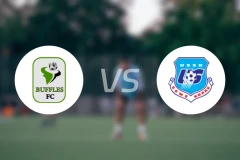 博尔古水牛vs索贝马比分预测【2025/12/21】