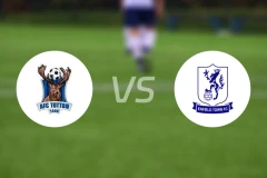 托顿vs恩菲尔德镇比分预测【2026/01/03】