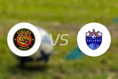 内湖公马女足vs狮城水手女足录像回放【2025/11/19】