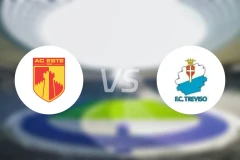 AC埃斯特vs特雷维索比分预测【2025/12/14】