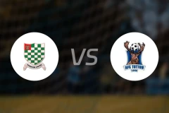 车斯曼vs托顿比分预测【2026/01/10】