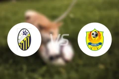 流星体育FCvs西塔通加比分预测【2024/10/15】