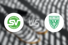 斯切丁喜宁vs诺德林根比分预测【2025/11/29】