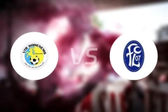 霍亨恩姆斯vsFC卢斯特瑙比分预测【2025/11/01】