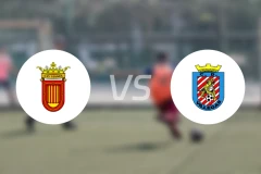 维安纳斯vs维勒加斯比分预测【2026/01/05】