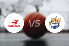 丰田羚羊女篮vs东京羽田酷猫女篮比分预测【2025/12/13】