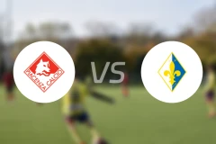 皮亚琴察vs布拉图比分预测【2024/10/13】