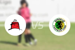 东伯尼vs霍舍姆比分预测【2026/01/07】