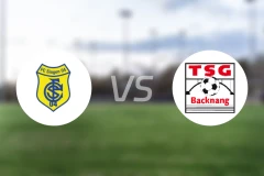 辛根vsTSG巴克南比分预测【2026/03/01】