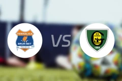 特马利卡vsGKS卡托威斯比分预测【2025/11/01】