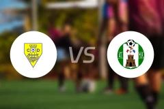 韦托塔哈尔vs拉曼恰竞技比分预测【2026/04/12】