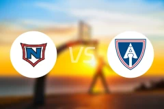 拿尔维克vs艾尔曼尼比分预测【2025/11/21】