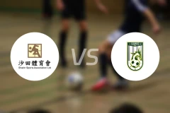 沙田vs深水埗比分预测【2025/12/07】