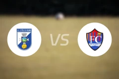 法萨诺市vs庞贝比分预测【2025/11/16】