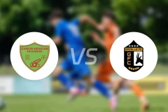 雅温得加农炮vsFC瞪羚比分预测【2026/03/26】