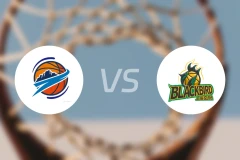 焦作文旅vs上海玄鸟录像回放【2026/02/25】