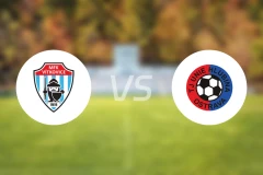 维特科维斯vs荷路比纳比分预测【2025/11/15】