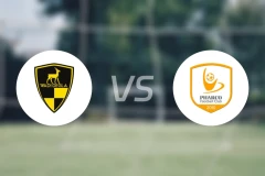 瓦迪格拉vs佩哈亚克比分预测【2026/04/08】