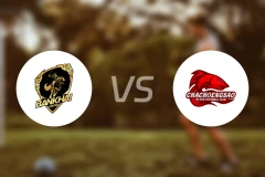 班凯联vs北柳高新比分预测【2026/02/15】