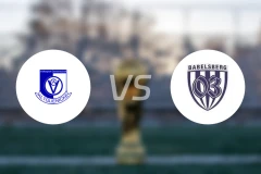 艾尔格里尼克vs巴贝尔斯贝格03比分预测【2026/03/15】