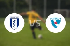 卢布尔雅那vs戈里察比分预测【2024/10/26】