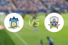赞岐釜玉海vsFC岐阜比分预测【2024/09/08】