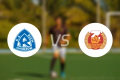 罗切霍茹夫vs萨尼克比分预测【2025/11/23】