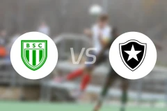 博维斯塔FCvs博塔弗戈比分预测【2026/02/22】