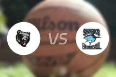 北方熊女篮vs萨瑟兰德鲨鱼女篮比分预测【2026/04/18】