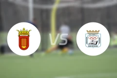 维安纳斯vs圣马西亚尔比分预测【2025/11/17】