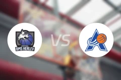 海莱乌女篮vs阿玛格女篮比分预测【2024/12/04】