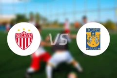 内卡萨女足vs老虎大学女足比分预测【2026/01/05】