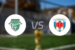 杜卡吉尼vs普里斯堤纳比分预测【2026/02/07】