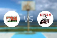 钻石谷鹰女篮vs埃尔特姆野猫女篮比分预测【2026/03/28】