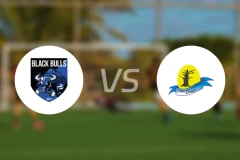 黑牛vs钦加勒比分预测【2025/11/22】